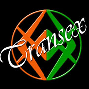 www.transextorino.it